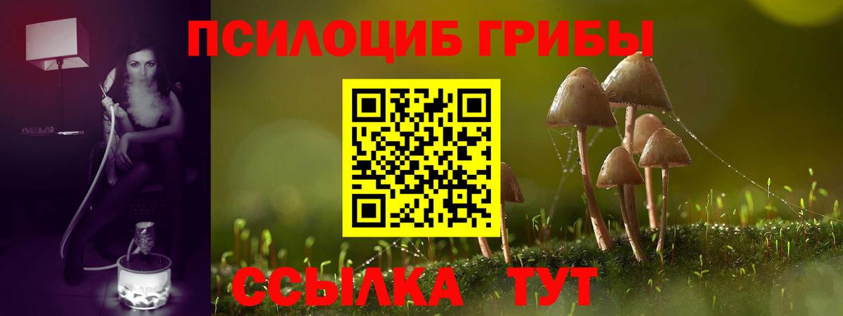 где купить наркоту  Псилоцибиновые грибы Magic Shrooms  Вход с VPN  Псилоцибиновые грибы Magic Shrooms  Ханты-Мансийск 